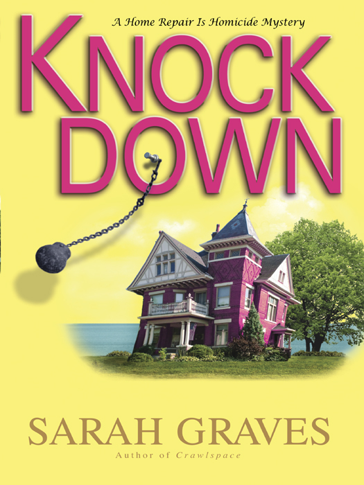 Knockdown: A Home Repair Is Homicide Mystery
