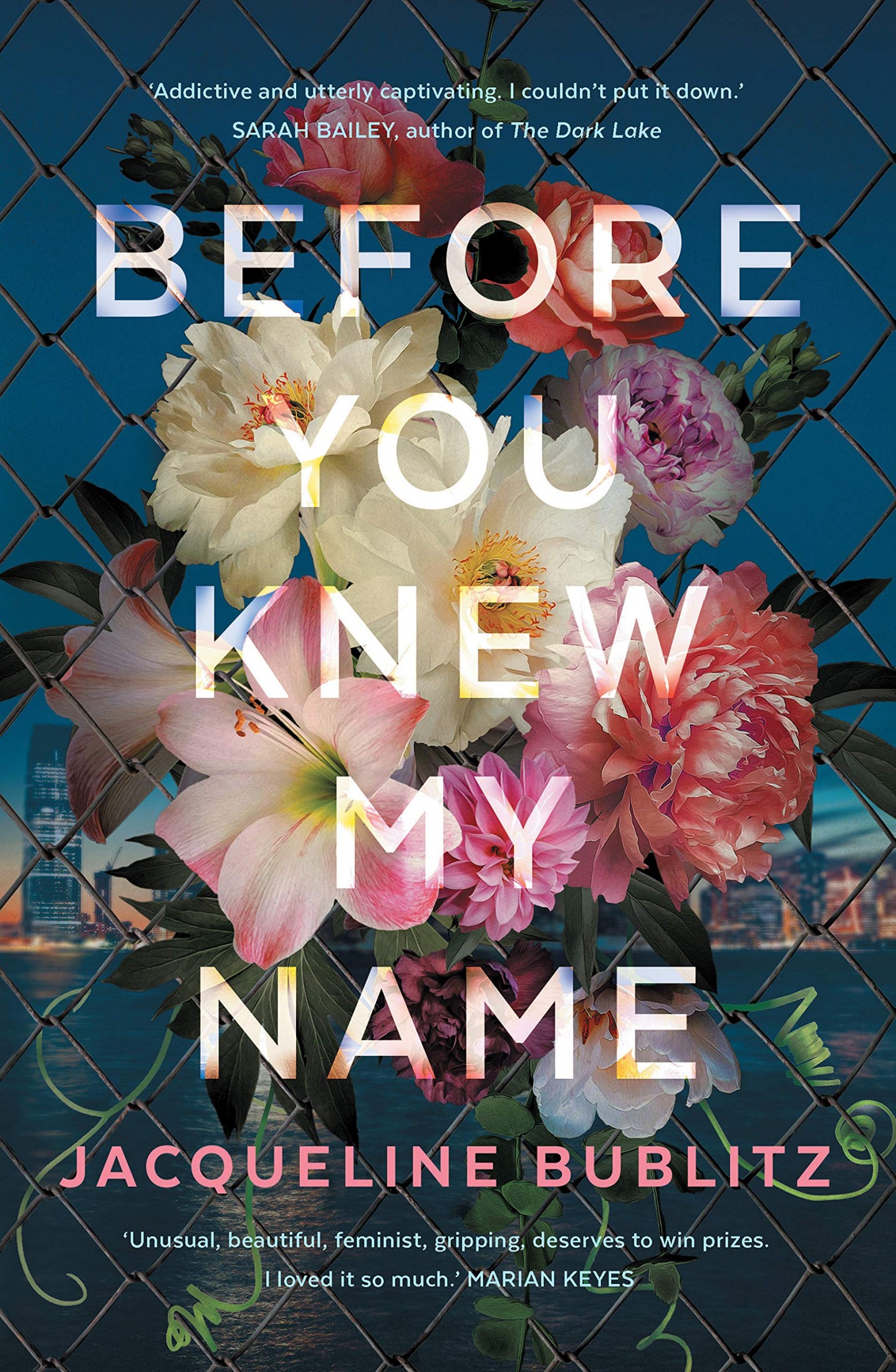 Before You Knew My Name: A Novel