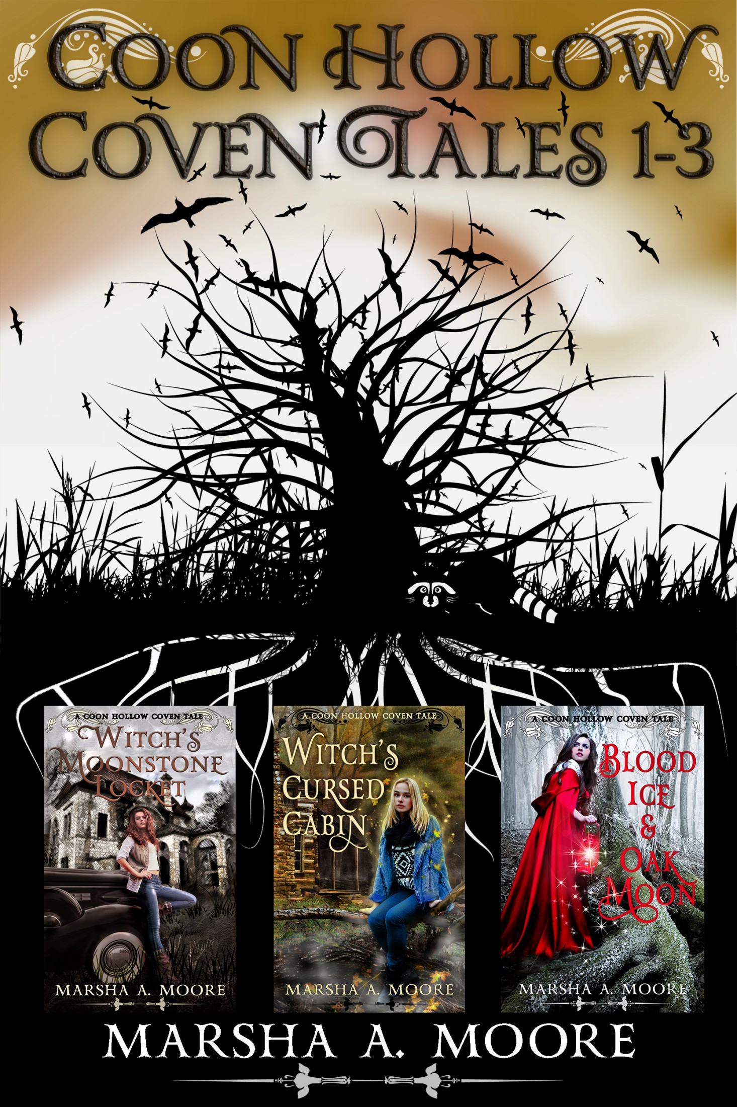 Coon Hollow Coven Tales 1-3