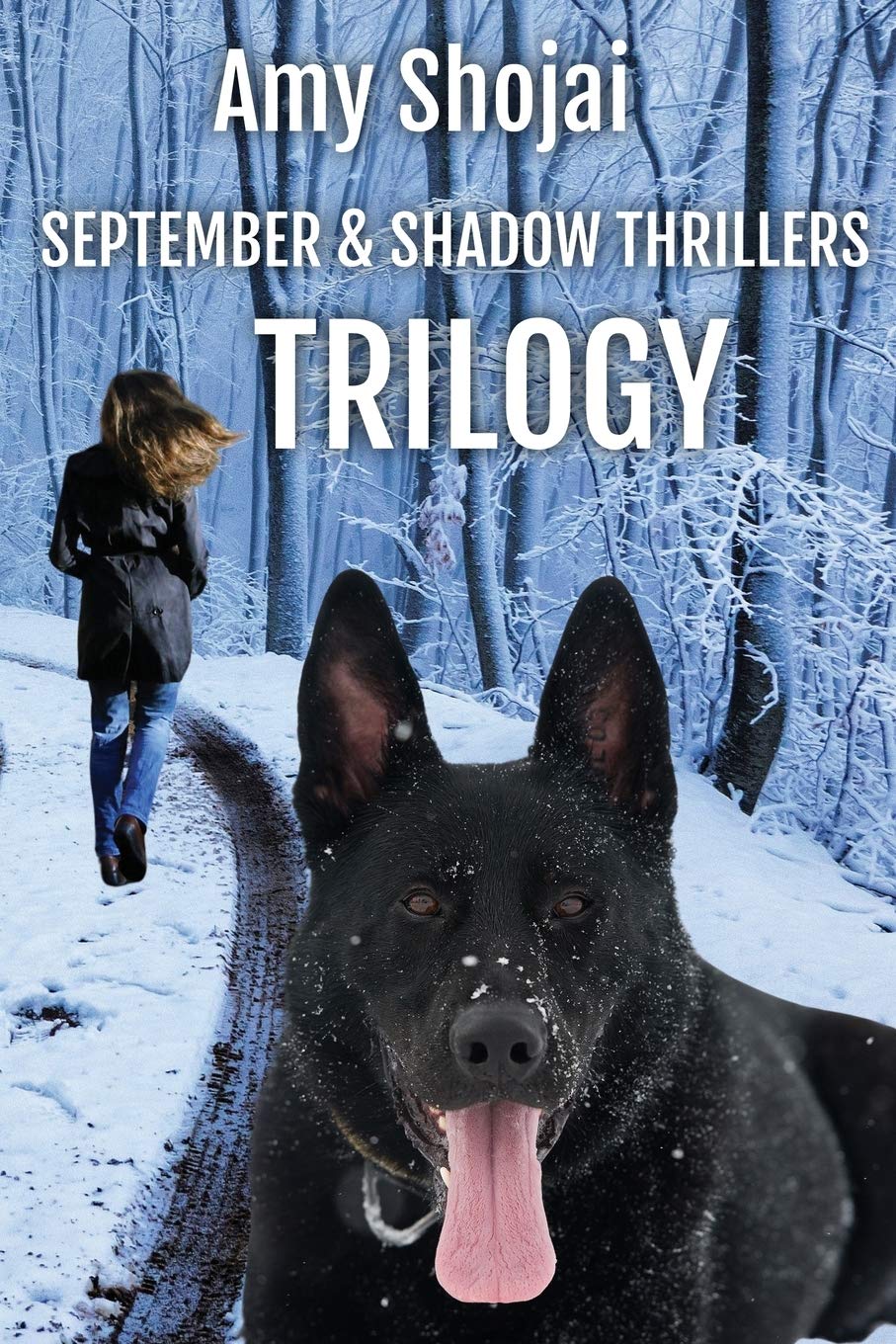 The September Day Thriller Box Set: Books 1-3