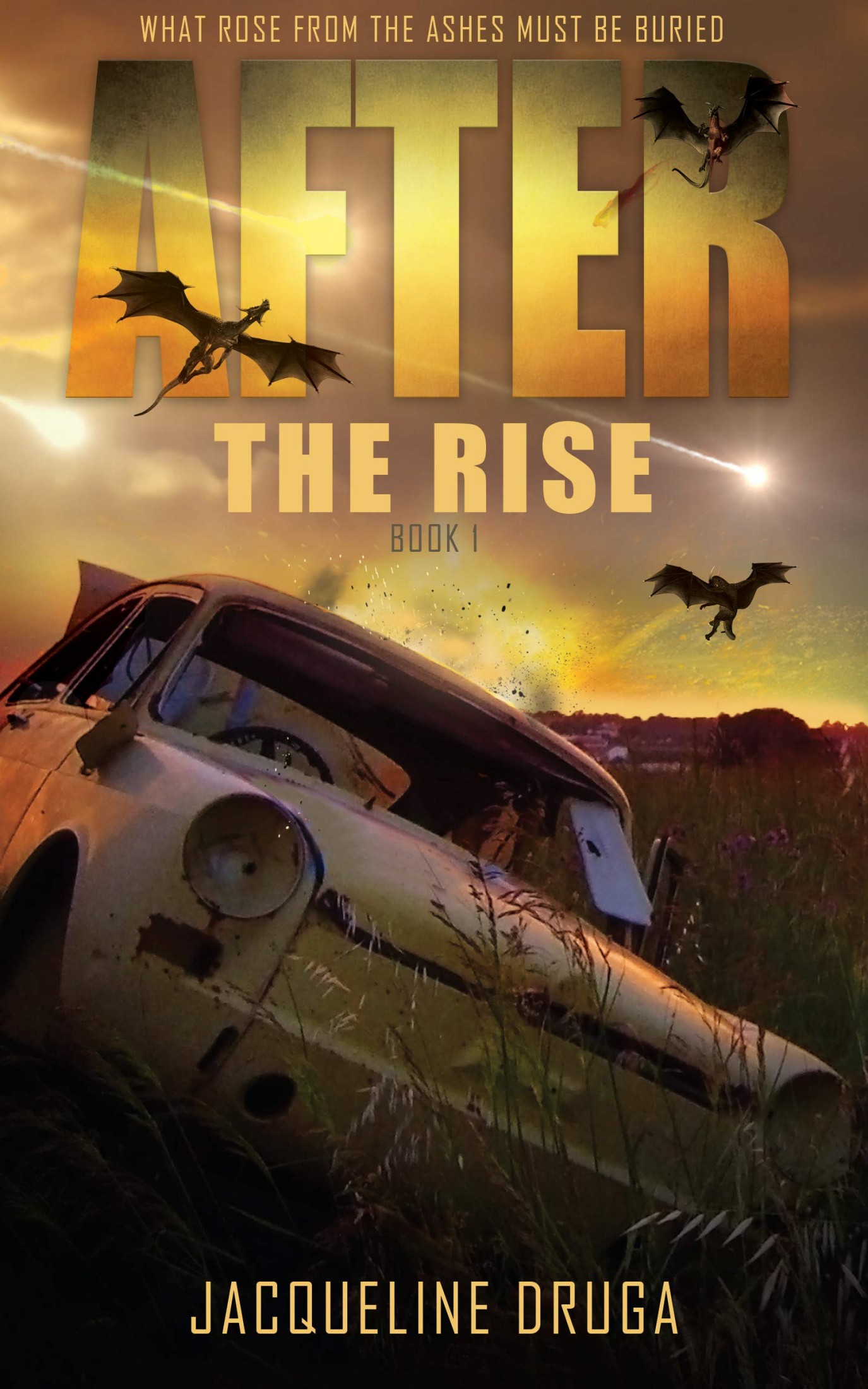 After The Rise: Book One