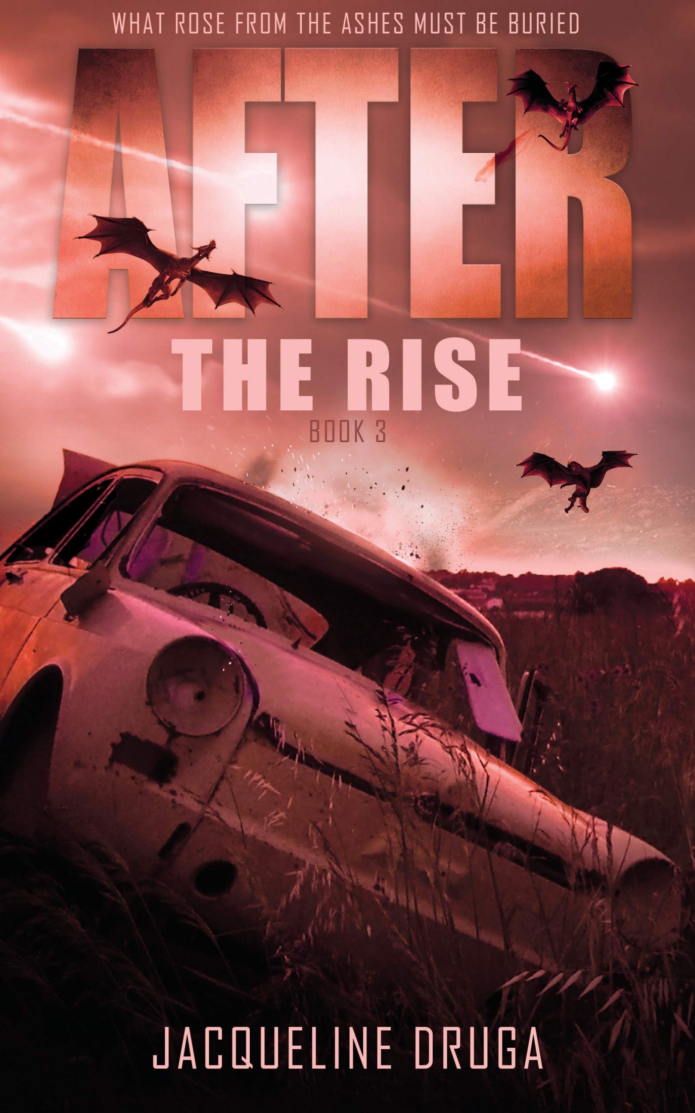 After the Rise: Book Three