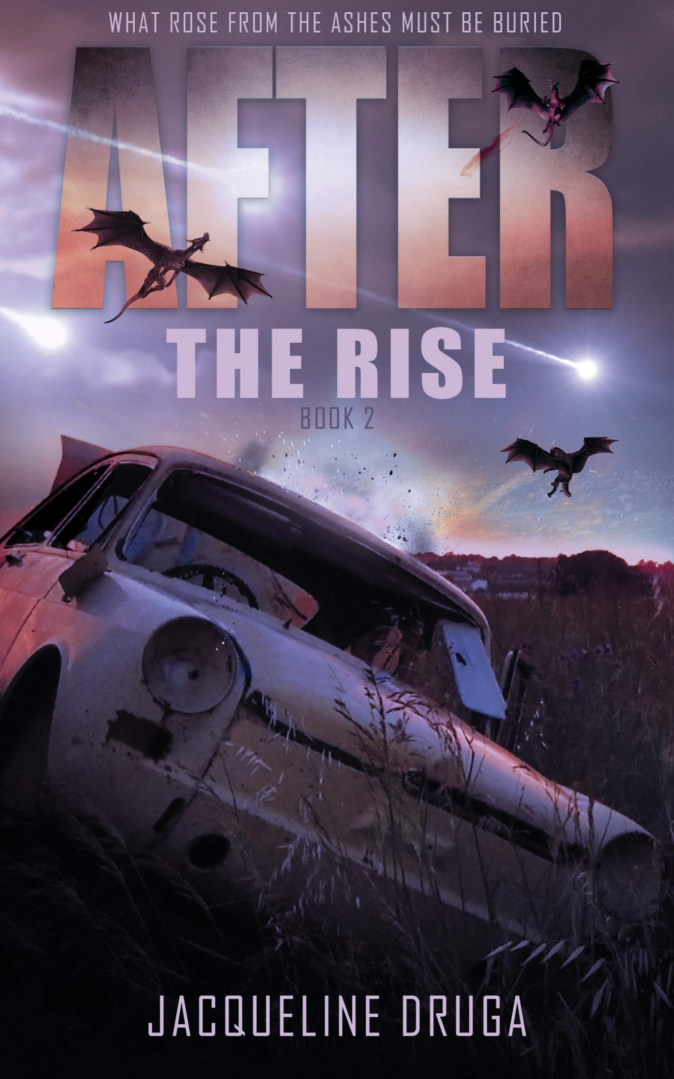 After the Rise: Book Two