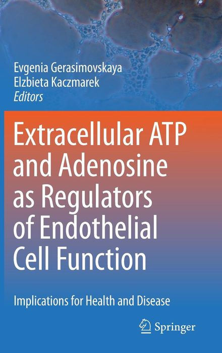 Extracellular ATP and Adenosine as Regulators of Endothelial Cell Function: Implications for Health and Disease