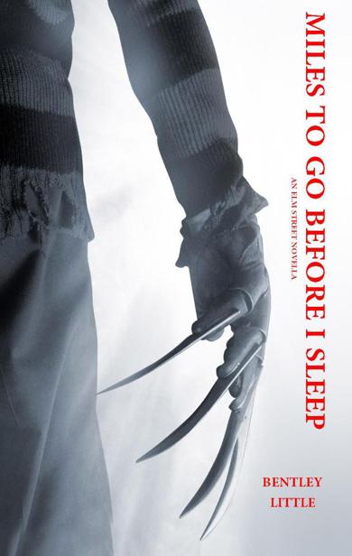 Miles to Go Before I Sleep