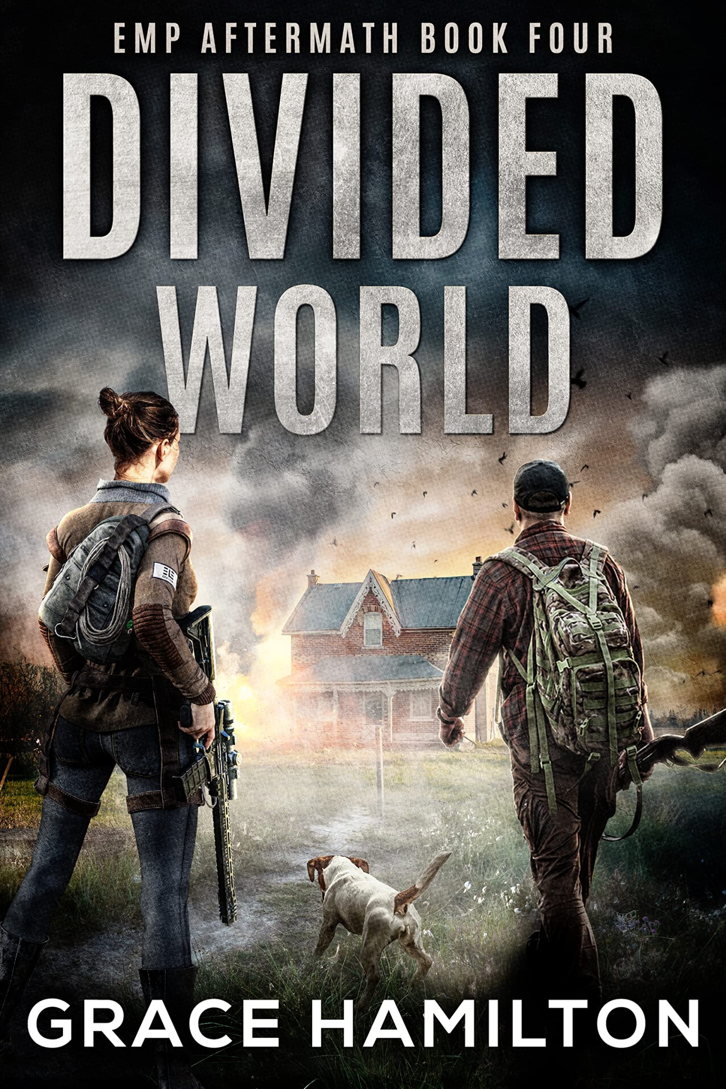 Divided World: A Post-Apocalyptic EMP Saga Filled With Fascinating Characters & Prepper Info