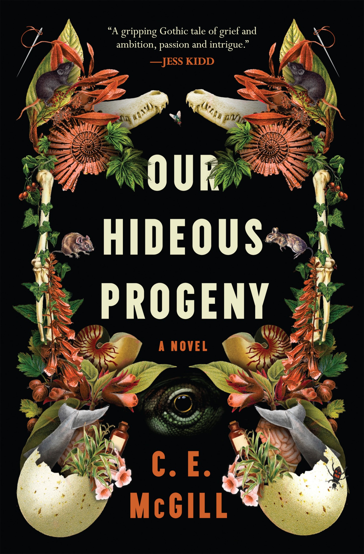 Our Hideous Progeny: A Sumptuous Gothic Adventure Story With Echoes of Mary Shelley’s Frankenstein