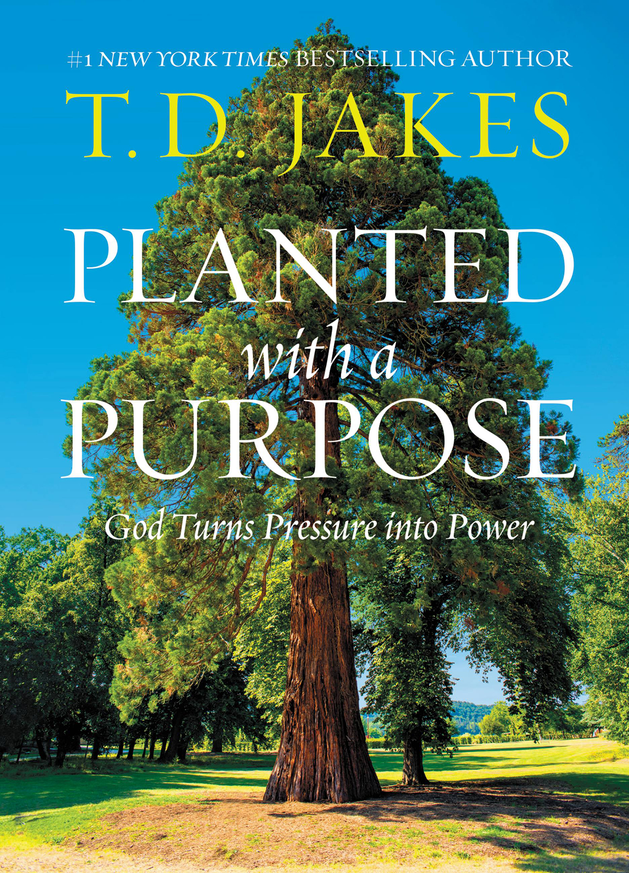 Planted With a Purpose: God Turns Pressure Into Power