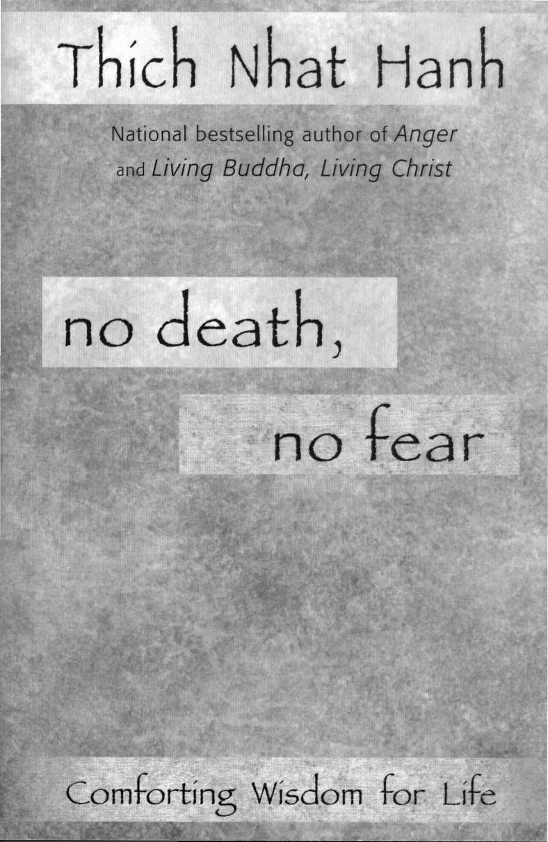 No Death, No Fear: Comforting Wisdom for Life