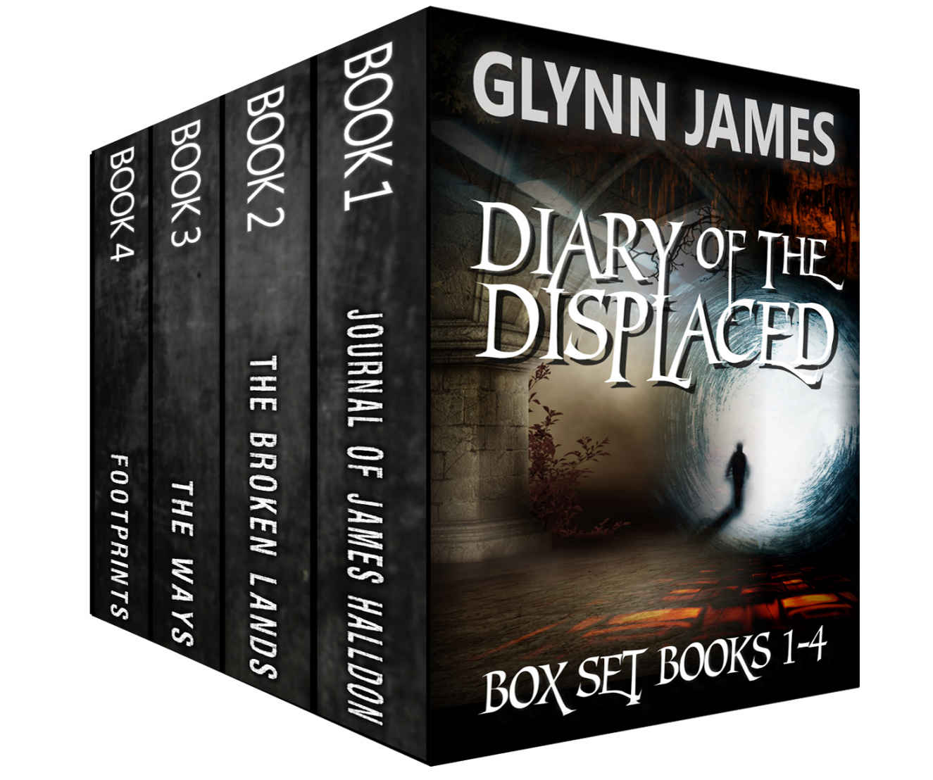 Diary of the Displaced Box Set - Books 1-4