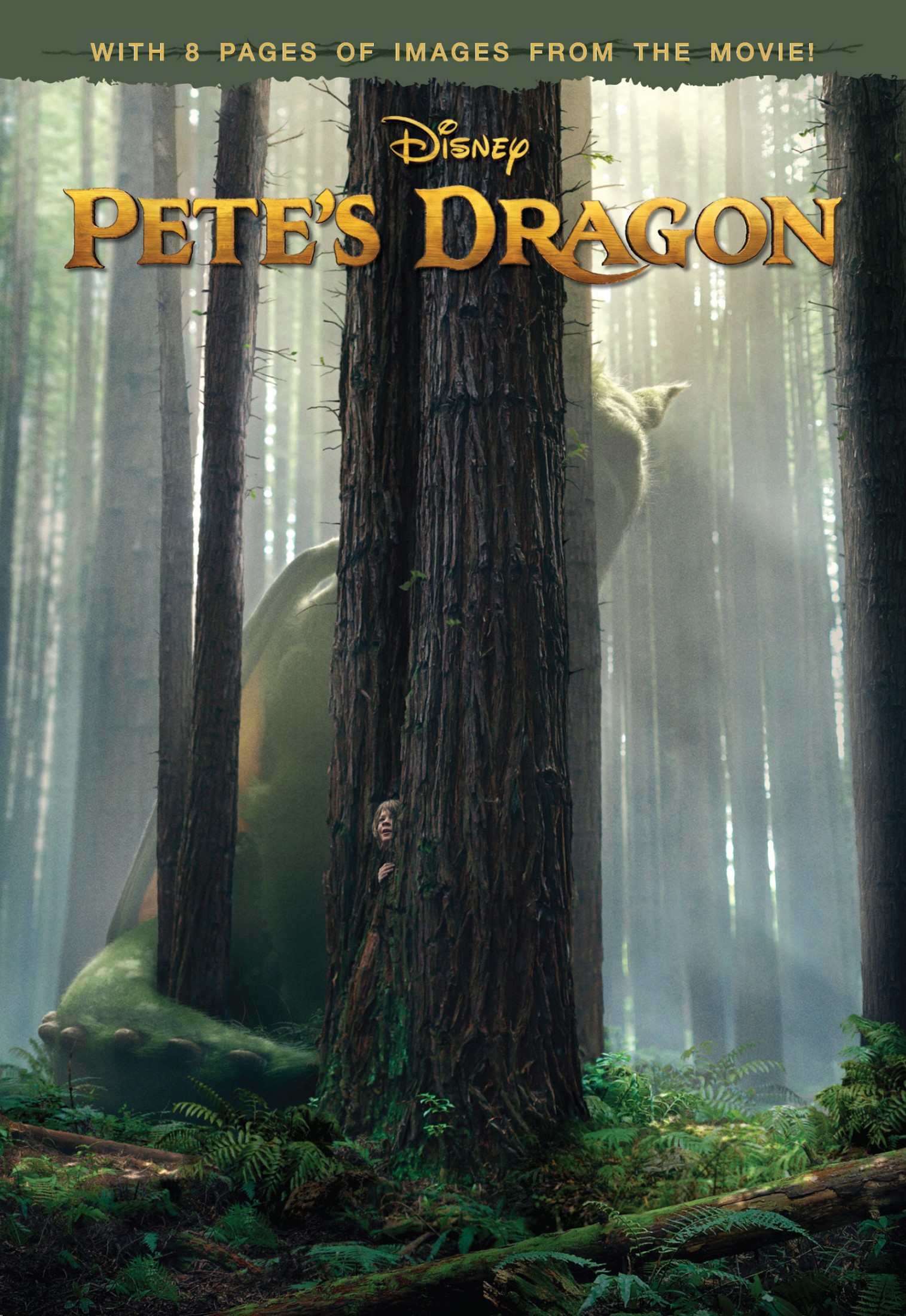 Pete's Dragon Junior Novel