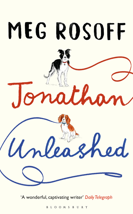 Jonathan Unleashed: A Novel