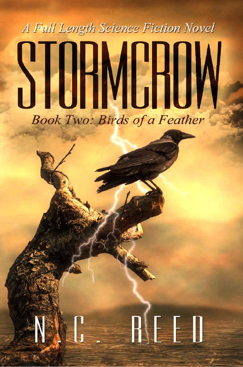 Stormcrow: Birds of a Feather
