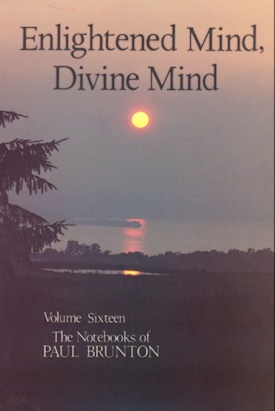 Enlightened Mind, Divine Mind: Notebooks