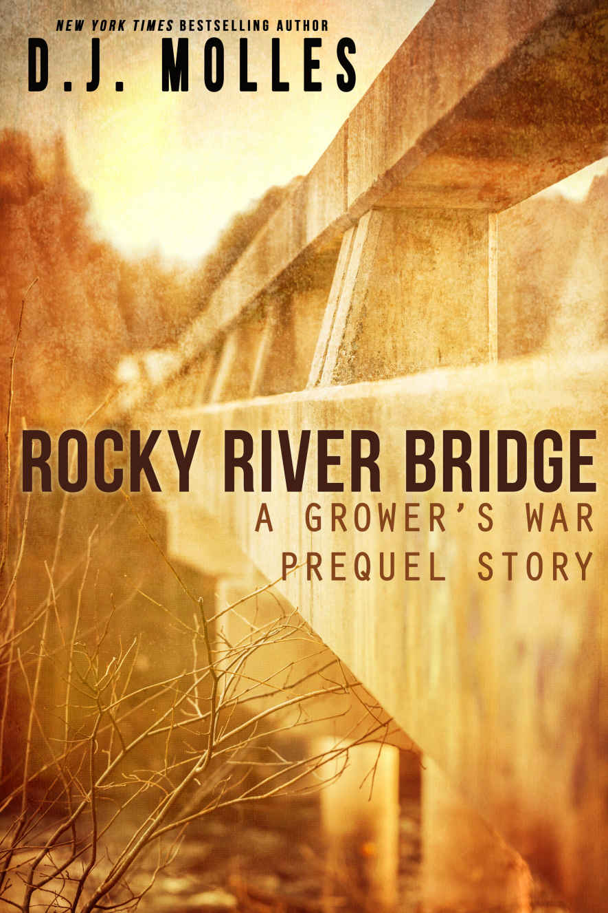 Rocky River Bridge: A District 89 Prequel
