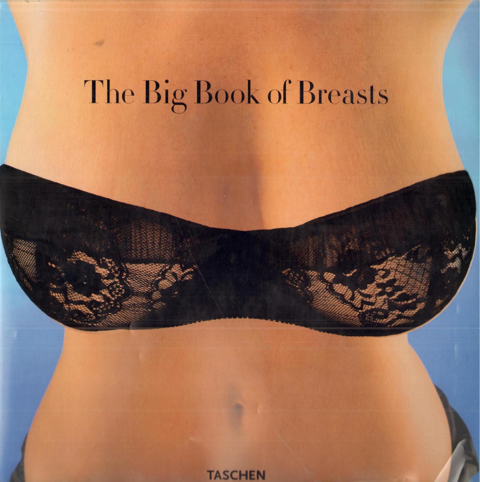 The Big Book of Breasts