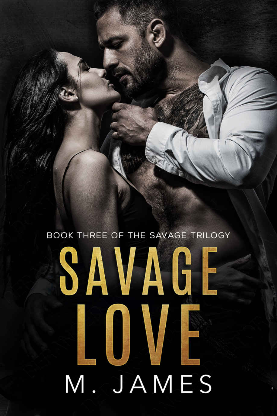 Savage Love: A Dark Mafia Romance