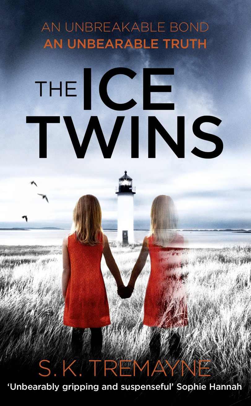 The Ice Twins: A Novel