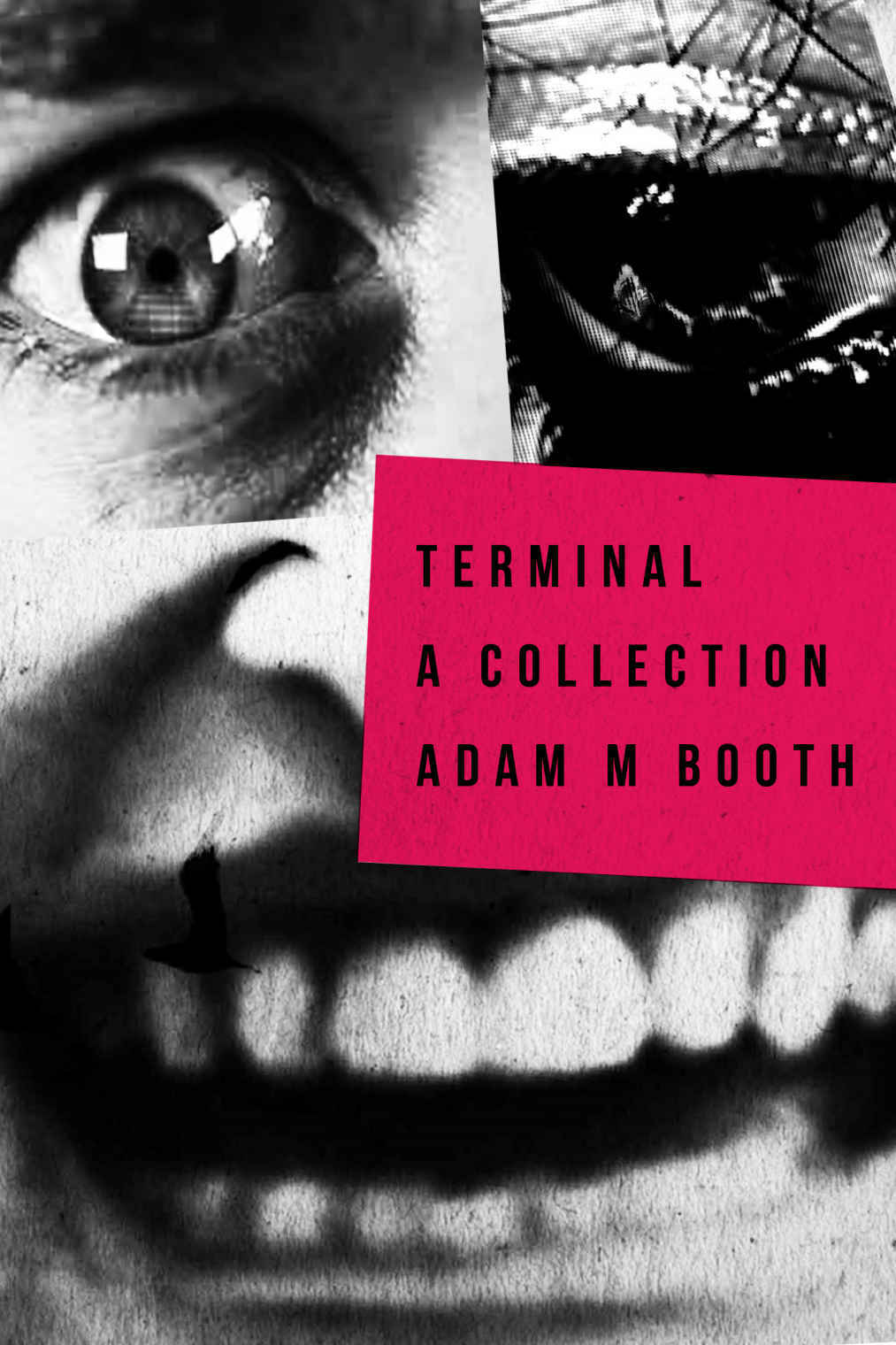 Terminal: A Collection of Horror Novellas