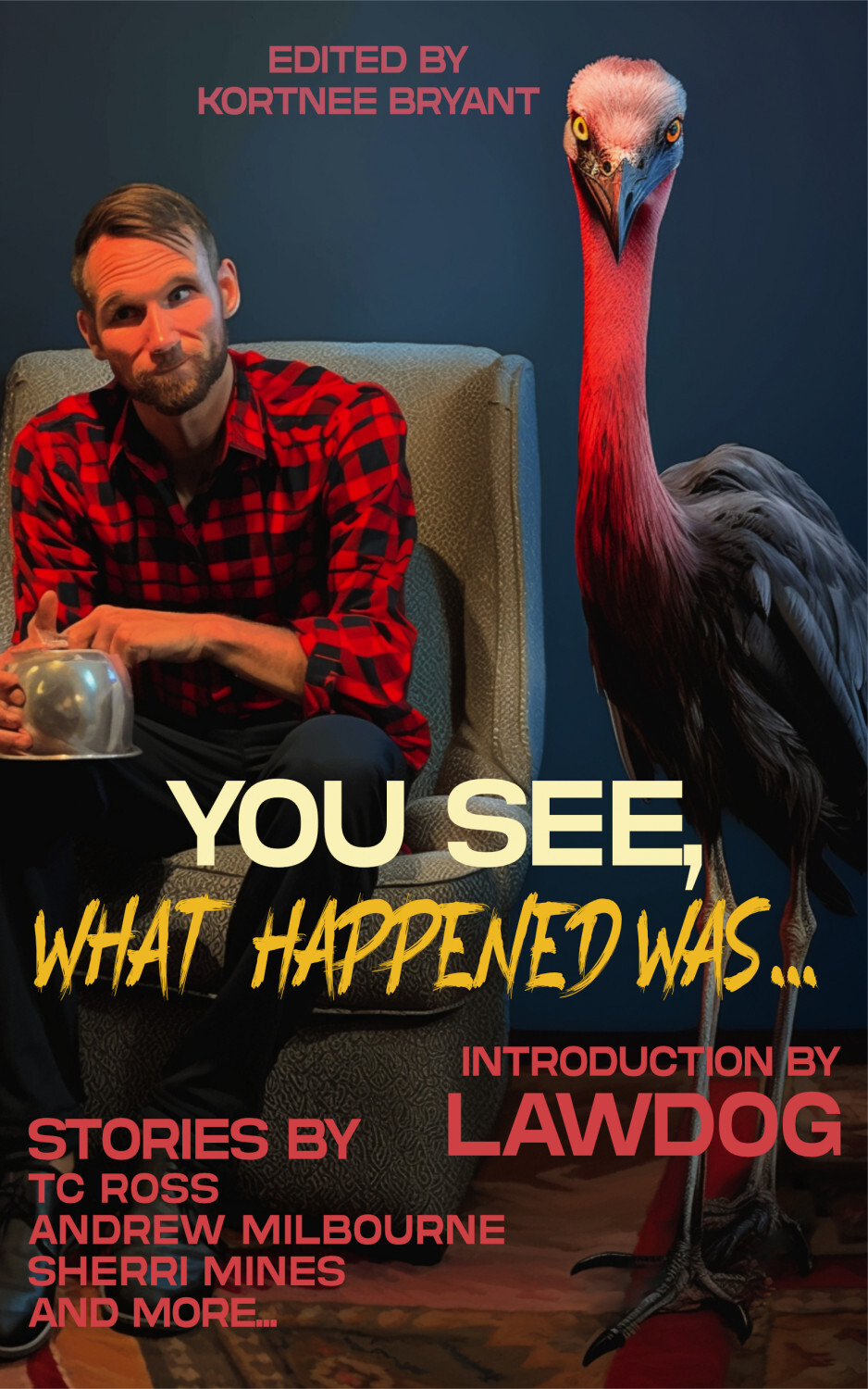 You See, What Happened Was...