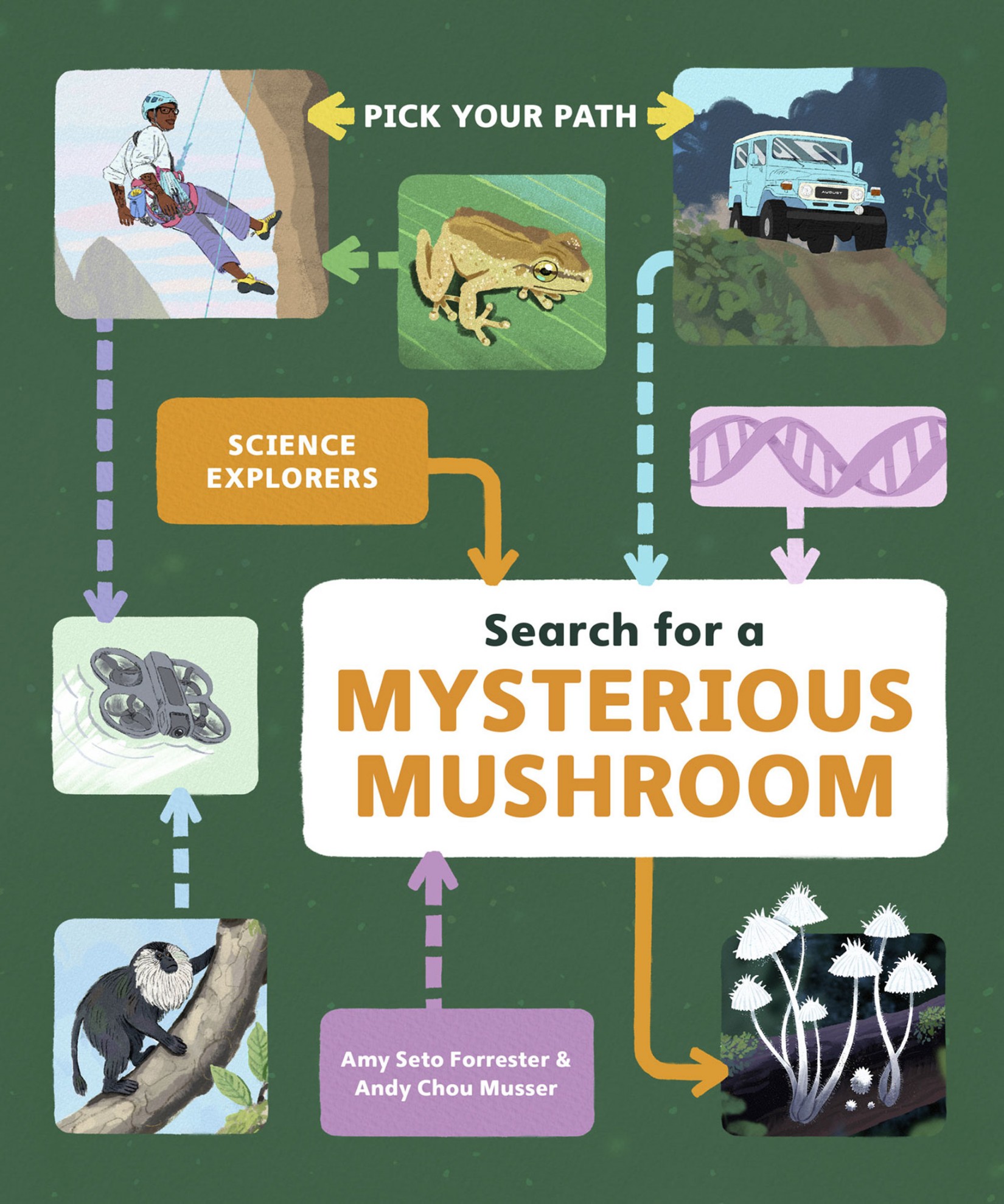 Search for a Mysterious Mushroom: Pick Your Path