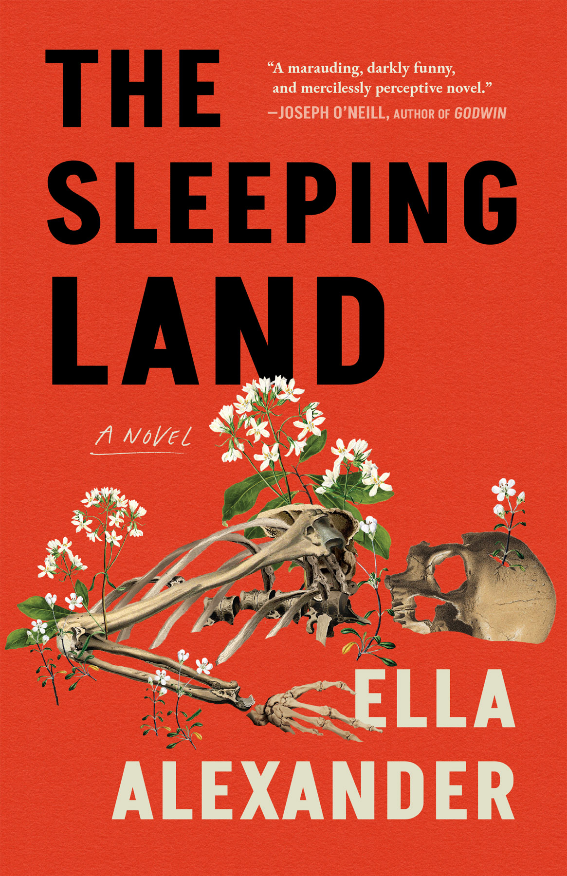 The Sleeping Land