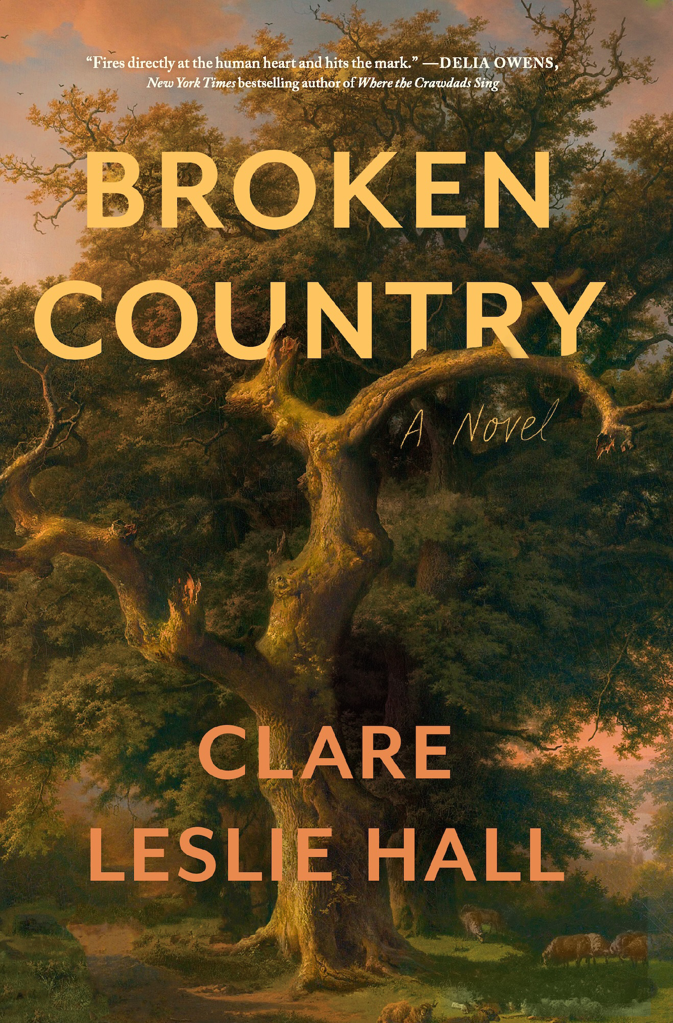 Broken Country (Reese's Book Club)