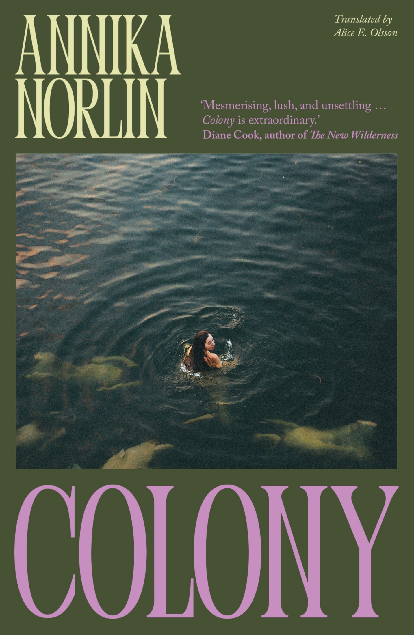 Colony