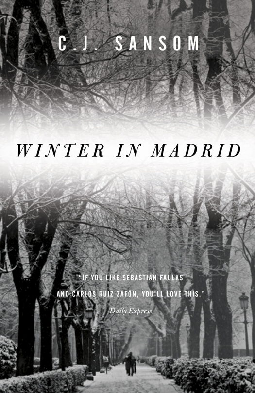 Winter in Madrid