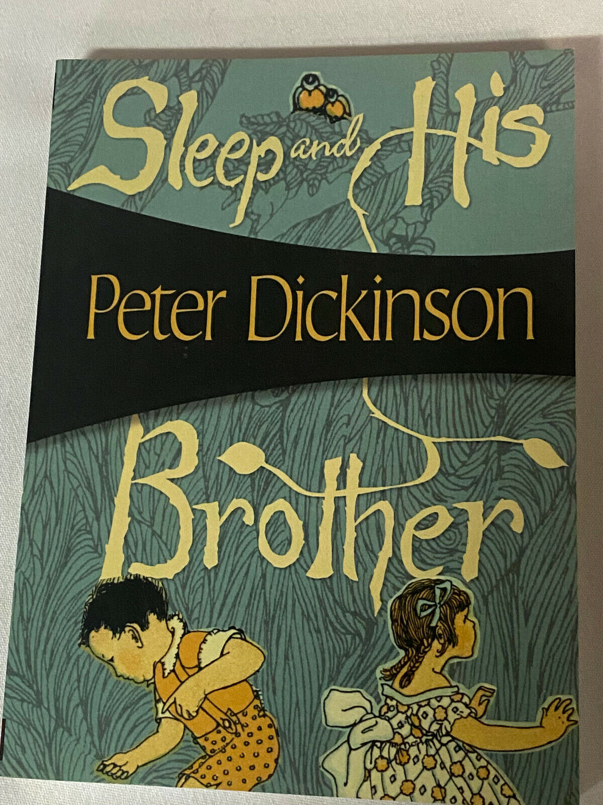 Sleep and His Brother