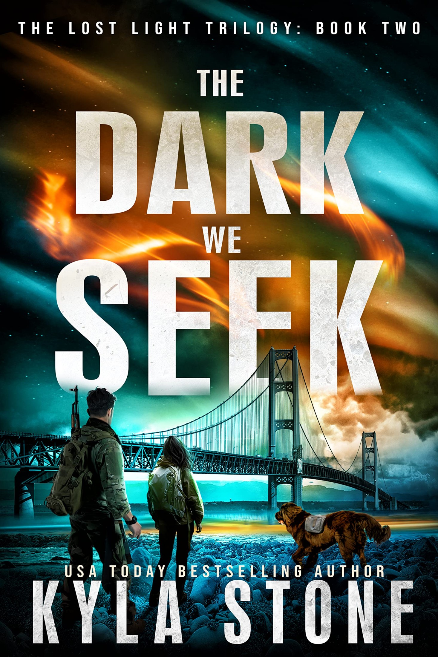 The Dark We Seek: A Post-Apocalyptic Survival Thriller