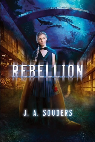 Rebellion: A Novel