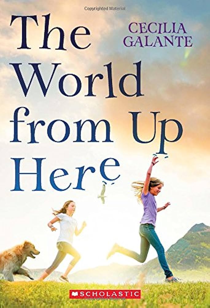 The World from Up Here