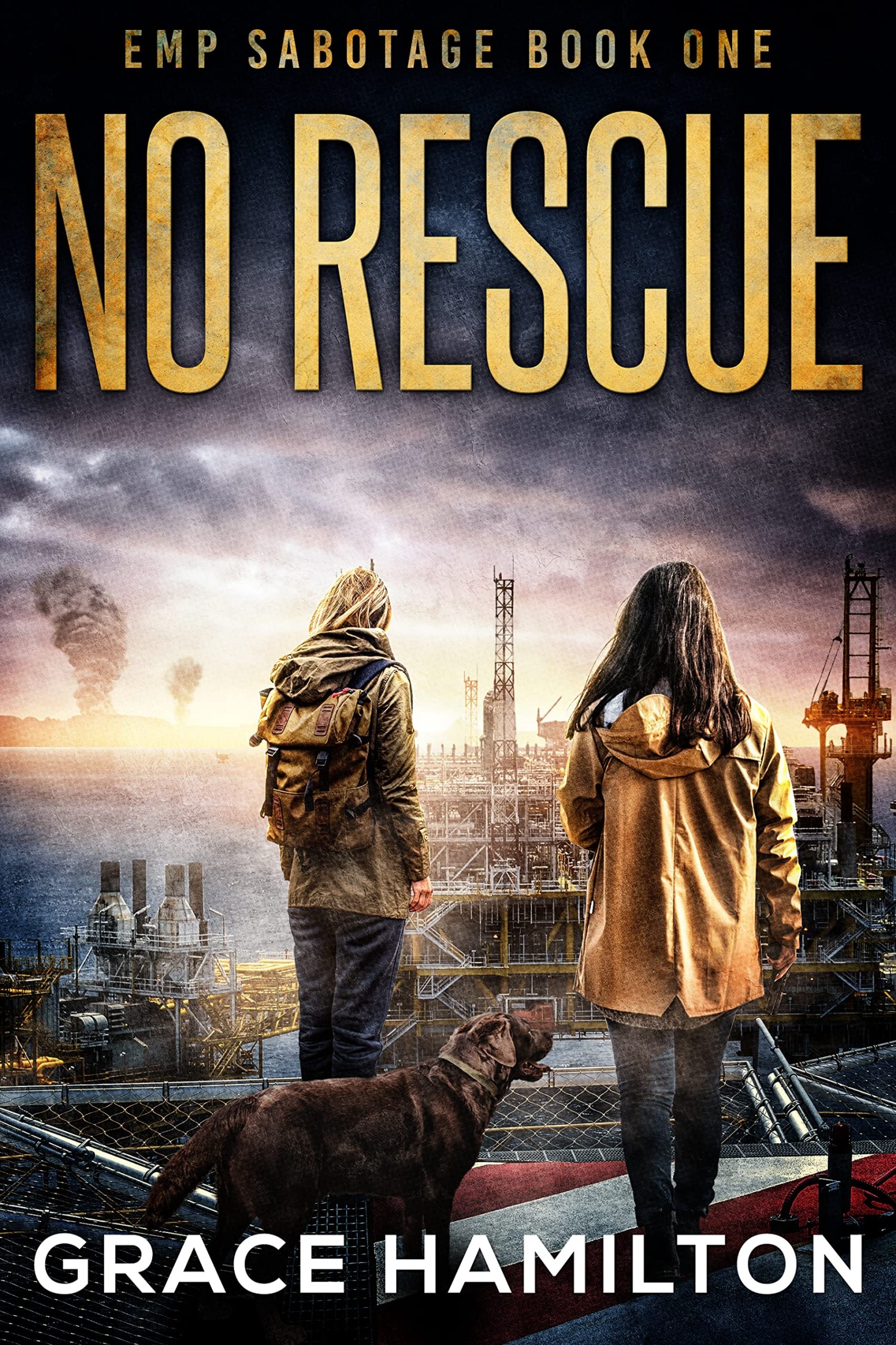 No Rescue: A Post-Apocalyptic EMP Thriller Filled With Captivating Characters & Prepper Info