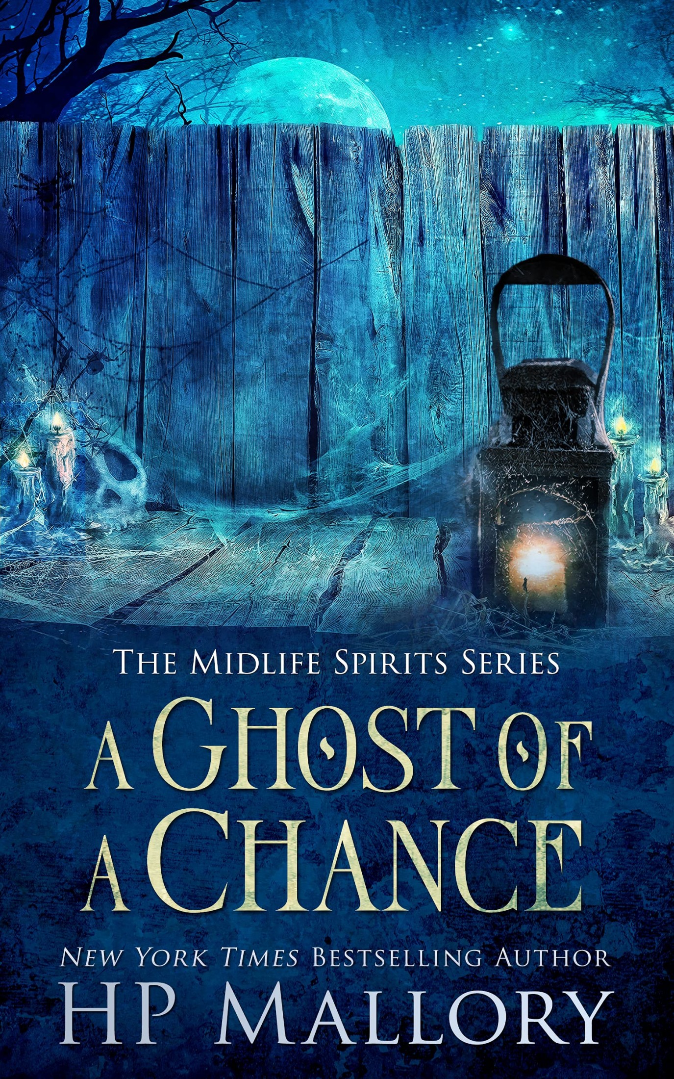 A Ghost of a Chance: A Paranormal Women's Fiction Novel